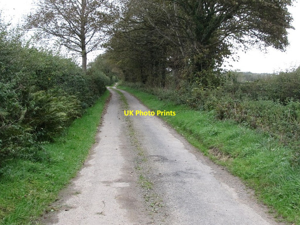 Photo 6"x4" View northwards along Ballyclander Road Killough c2011