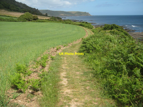 Photo 6"x4" Coast path at Horseley Cove East Prawle c2011