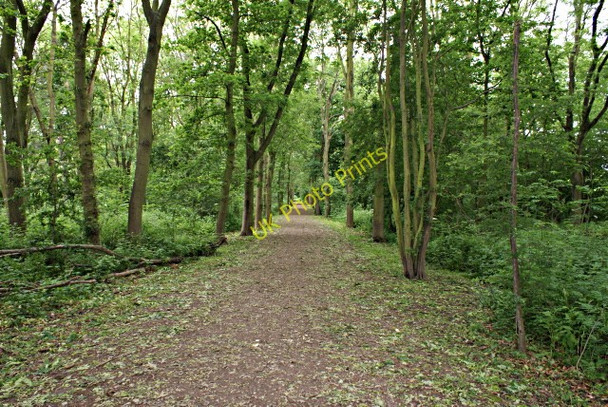 Photo 6"x4" Footpath round Elvaston Elvaston c2008 P1