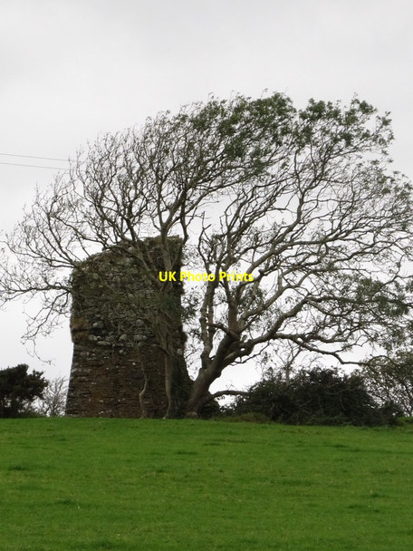 Photo 6"x4" The ruins of Castle Skreen Downpatrick c2011
