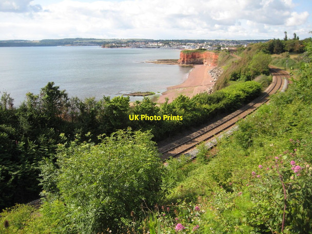 Photo 6"x4" The Railway near Paignton Paignton c2011
