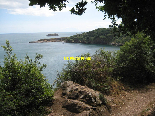 Photo 6"x4" Brandy Cove Ellacombe c2011