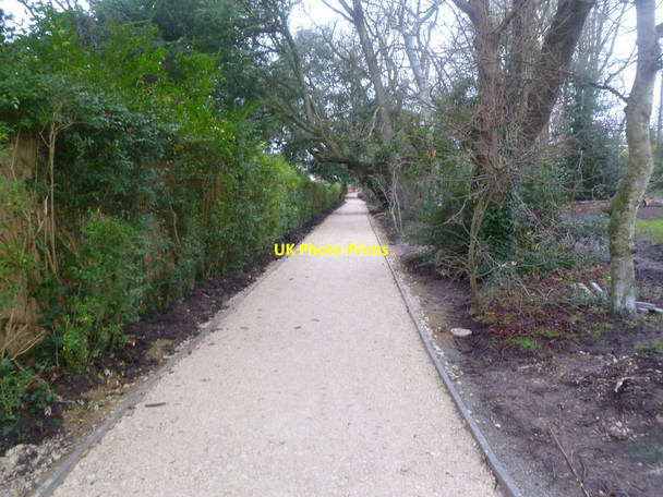Photo 6"x4" Christchurch, Creedy Path Christchurch\/SZ1592 c2012