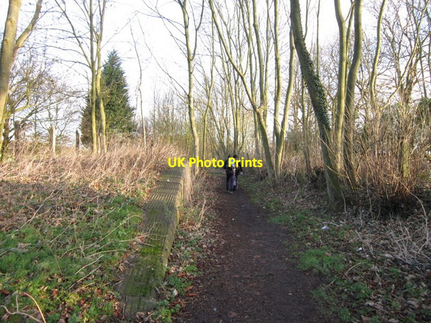 Photo 6"x4" Leaving the picnic area on the Hornsea Rail Trail Old Ellerby c2011