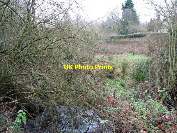 Photo 6"x4" Wet ground beside the path to Sandpits Lane, Holton St Mary Holton St Mary c2012