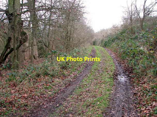 Photo 6"x4" The path to Sodom and Gomorrah Holton St Mary c2012