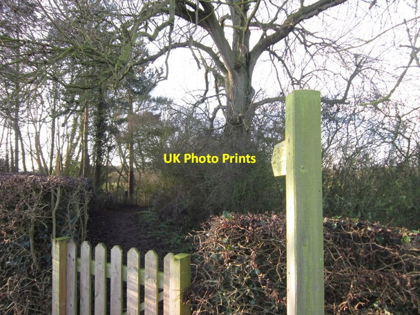 Photo 6"x4" A footpath to Lowthorpe Lowthorpe c2012