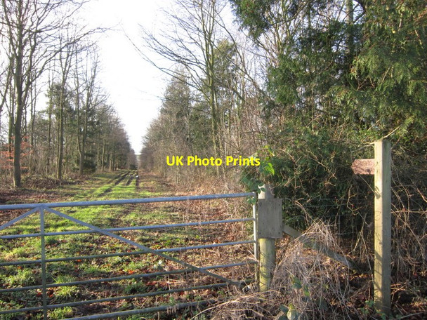 Photo 6"x4" A bridleway at Middle Close Plantation Butterwick\/SE9971 c2012
