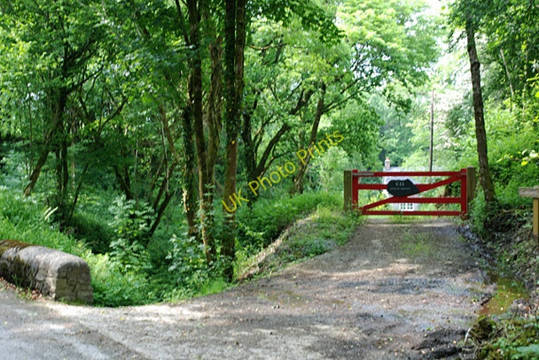 Photo 6"x4" Cwm of the Nant Wysg Llundain-fach c2008