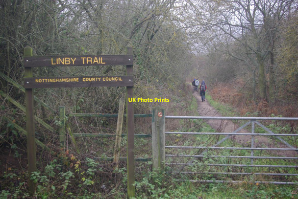 Photo 6"x4" Linby Trail Hucknall c2012