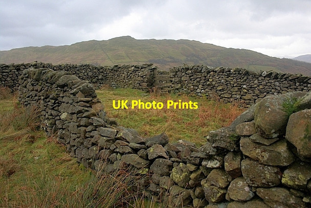 Photo 6"x4" Old Walled Enclosure Ambleside c2011