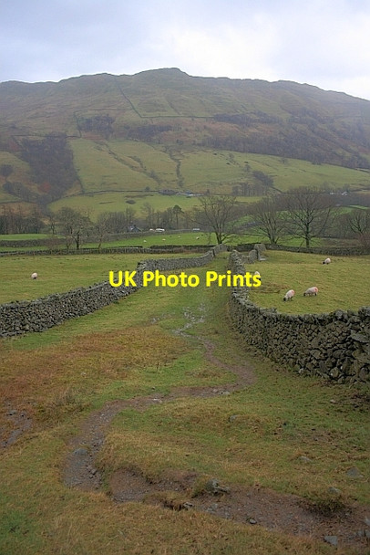 Photo 6"x4" Green Lane down to Kirkstone Road Ambleside c2011