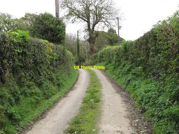 Photo 6"x4" Marshallstown Road Downpatrick c2011
