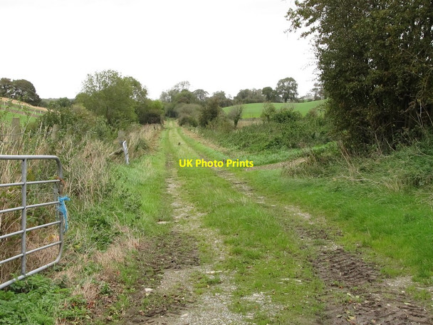 Photo 6"x4" View north along the trackbed of the former Downpatrick to Ardglass Railway Downpatrick c2011
