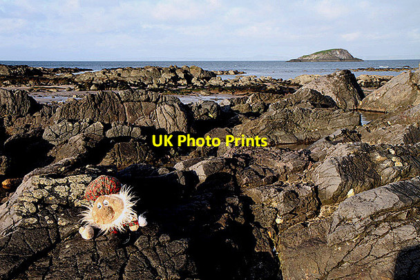 Photo 6"x4" Cowton Rocks at North Berwick North Berwick c2012