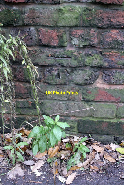Photo 6"x4" Benchmark on the wall of New North Road Exeter c2011