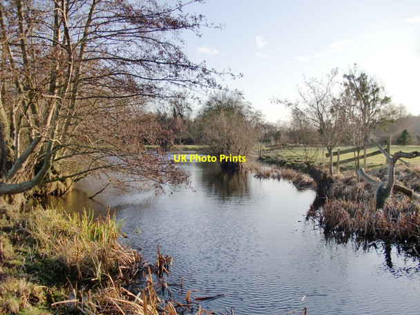 Photo 6"x4" At the water's edge, Ankerwycke Egham c2012
