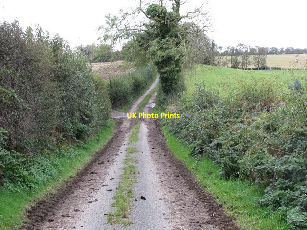 Photo 6"x4" A dip in the Ballyclander Road Killough c2011