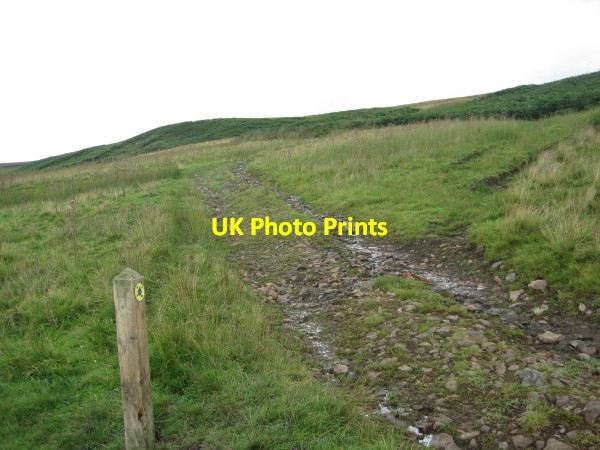 Photo 6"x4" Track leading to Croglin Croglin c2011