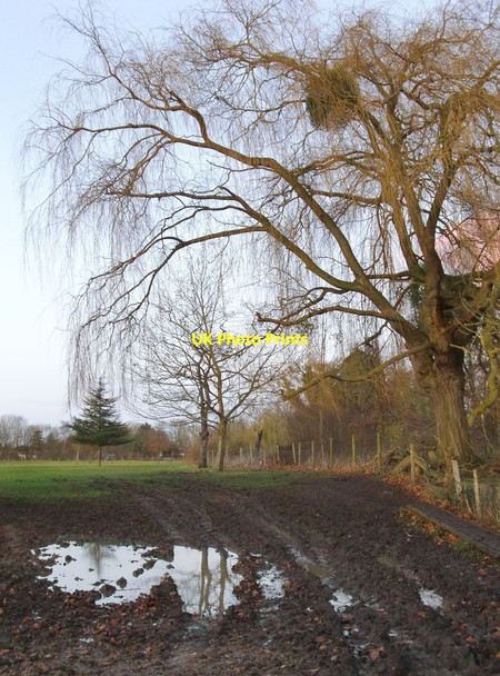 Photo 6"x4" Ankerwycke: mud, puddles, and sky Egham c2012