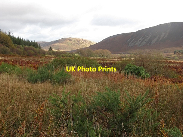 Photo 6"x4" Rough  ground, Machrie Ballymichael c2011