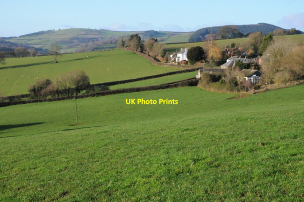 Photo 6"x4" Houses at Garway Garway c2012