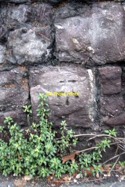 Photo 6"x4" Benchmark on wall of Magdalen Street Exeter c2011