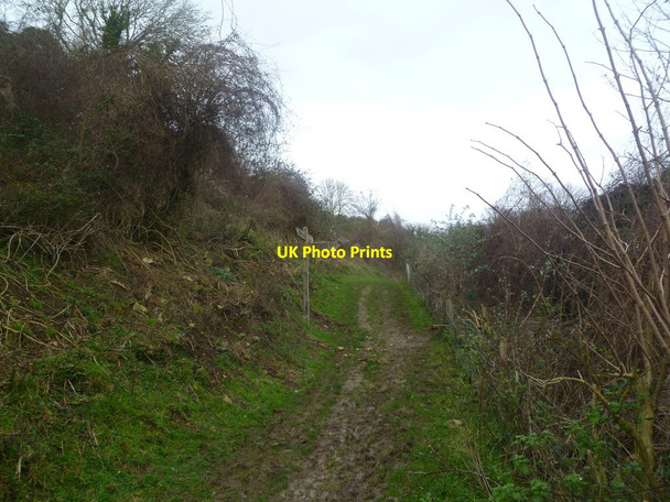 Photo 6"x4" Hill Bottom, bridleway & footpath junction Kingston\/SY9579 c2012