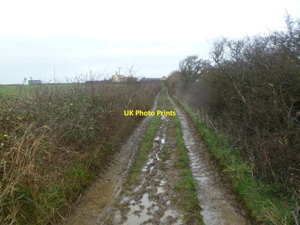 Photo 6"x4" Kingston, farm track Kingston\/SY9579 c2012