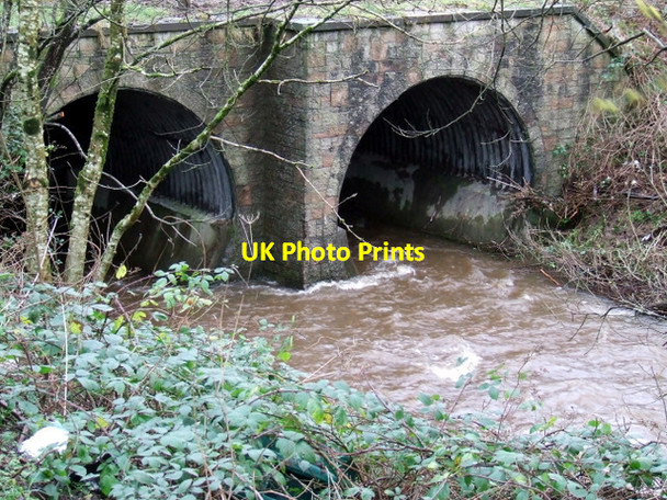Photo 6"x4" The Daff Burn Inverkip c2012