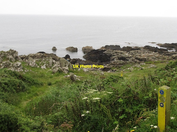 Photo 6"x4" Way markers on the Lacale Way Killough c2011