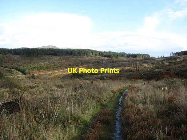 Photo 6"x4" Path from Loch Urie Cordon\/NS0230 c2011