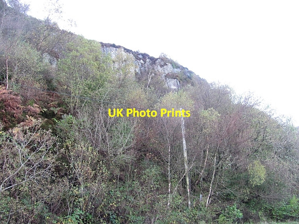 Photo 6"x4" An Garradh Dippen\/NS0422 c2011
