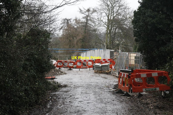 Photo 6"x4" Through the fence Lower Basildon c2012