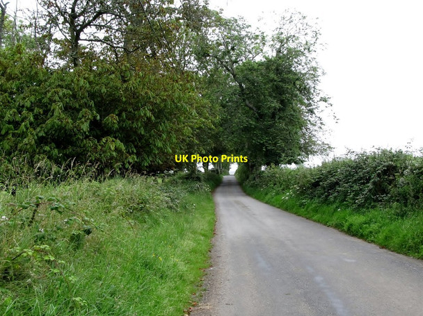 Photo 6"x4" View northwards along the Point Road Killough c2011