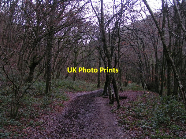 Photo 6"x4" Footpath to Steps Bridge Butts\/SX8089 c2012