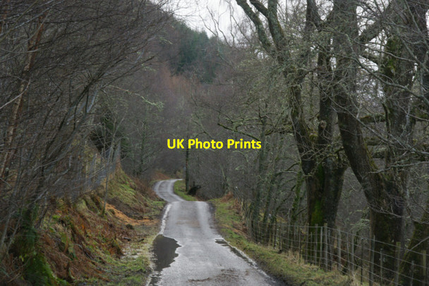 Photo 6"x4" Road through the edge of Crochail Forest, Strathglass Corrimony c2011