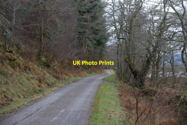 Photo 6"x4" Road through the edge of Crochail Wood, Strathglass Corrimony c2011