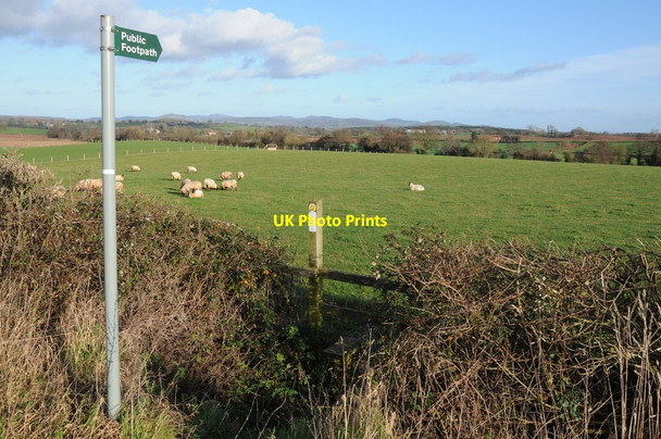 Photo 6"x4" Footpath to Kempley Fishpool\/SO6629 c2011