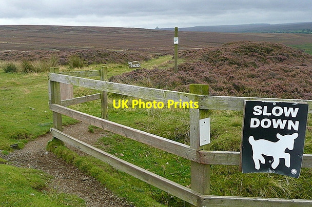 Photo 6"x4" Track off Beck Hole Road Green End\/NZ8203 c2011