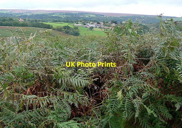 Photo 6"x4" Towards Darnholm Goathland c2011