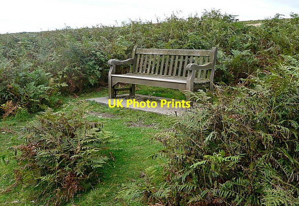 Photo 6"x4" Seat on Mill Moor Goathland c2011