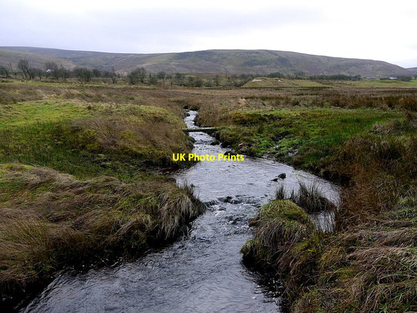 Photo 6"x4" Cleshkett Beck Forest Head c2012