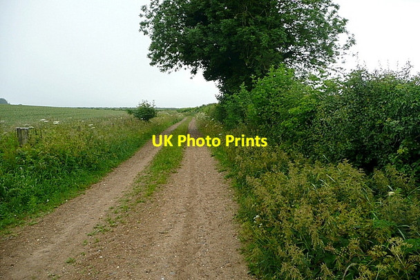 Photo 6"x4" Footpath on Harley Hill Couch Green c2011