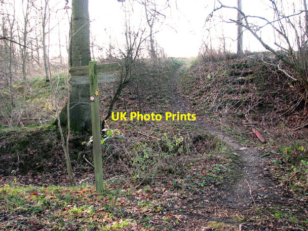 Photo 6"x4" Footpath junction north of Holly Wood, Bentley Potash c2012