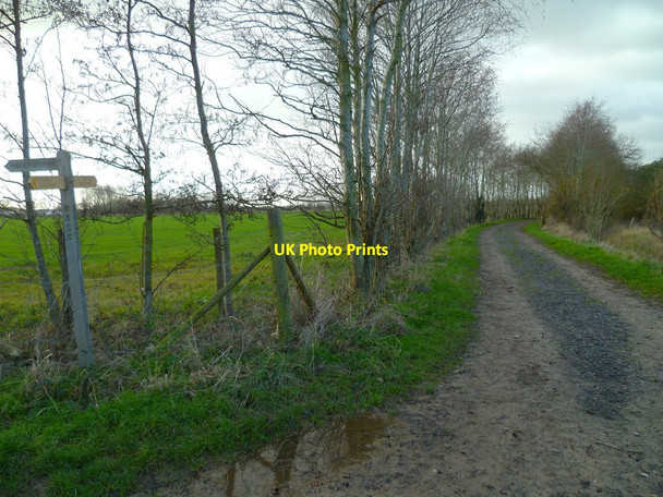 Photo 6"x4" Signpost at junction north of Stonewall Farm Fishbourne\/SU8304 c2012