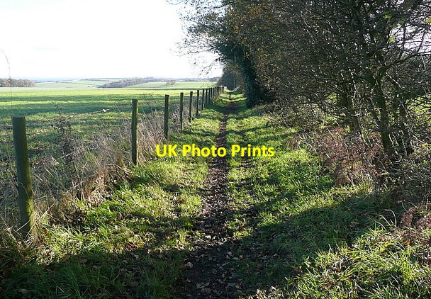 Photo 6"x4" Bridleway towards Gaston Wood Hannington\/SU5455 c2011