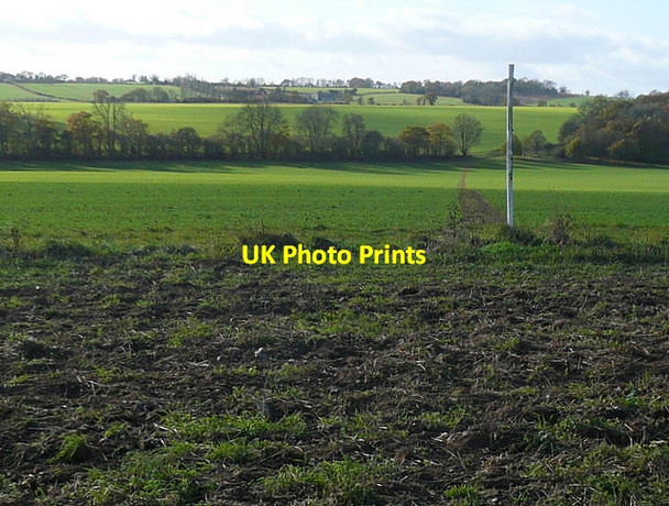 Photo 6"x4" Footpath south of Week Copse Ibworth c2011