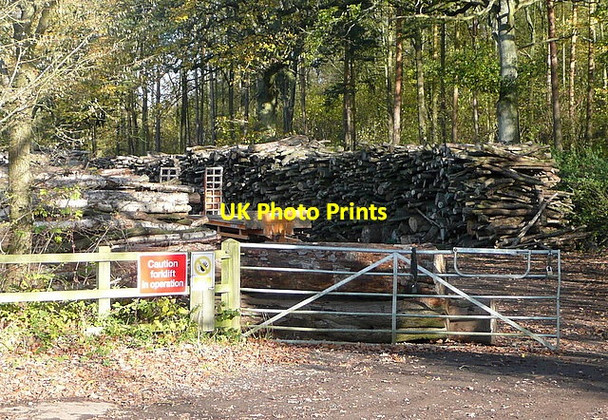 Photo 6"x4" Timber depot on Summer Down Lane Church Oakley c2011