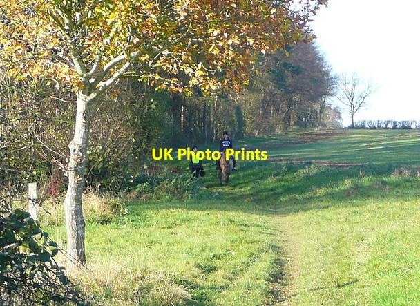 Photo 6"x4" Bridleway towards North Oakley Church Oakley c2011